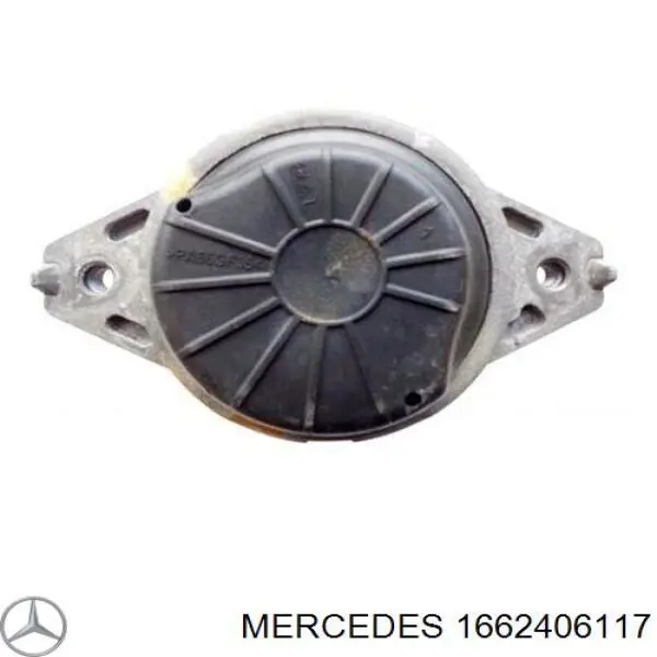 1662406117 Mercedes soporte de motor derecho