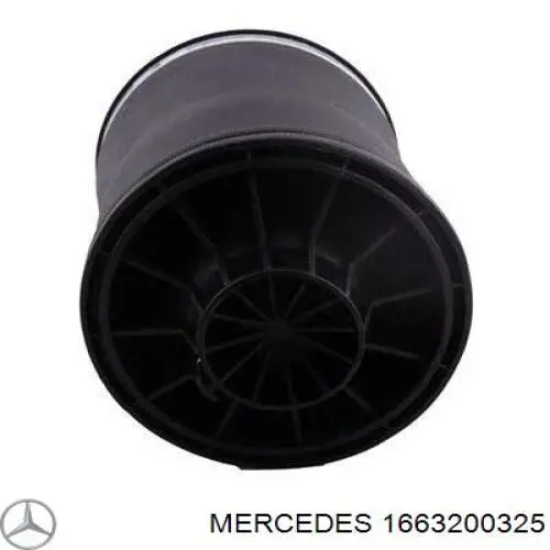 1663200325 Mercedes muelle neumático, suspensión, eje trasero