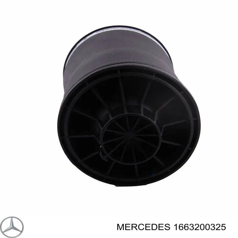 1663200325 Mercedes Bolsa de aire del eje trasero