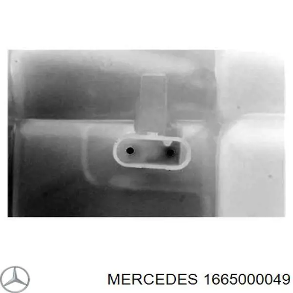 1665000049 Mercedes vaso de expansión, refrigerante