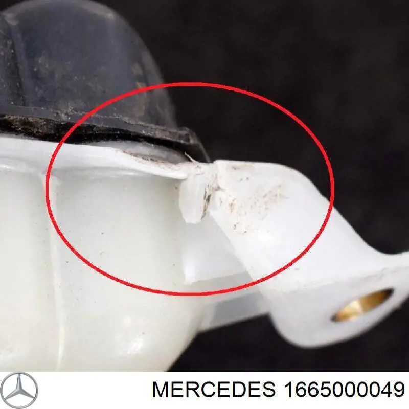 Vaso de expansión 1665000049 Mercedes