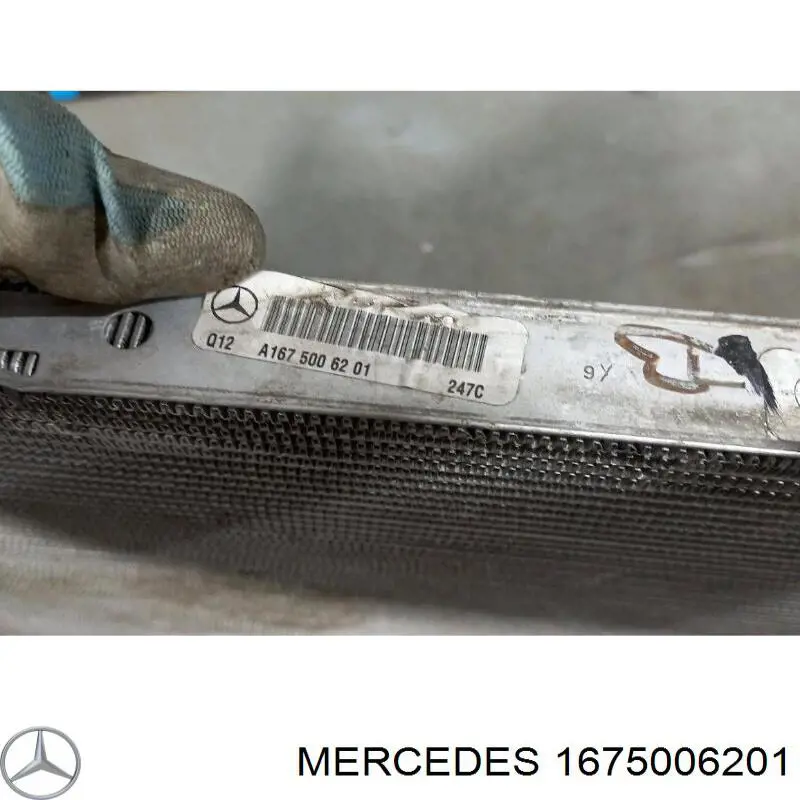 Radiador 1675006201 Mercedes