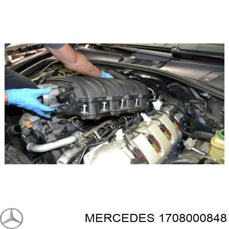 1708000848 Mercedes