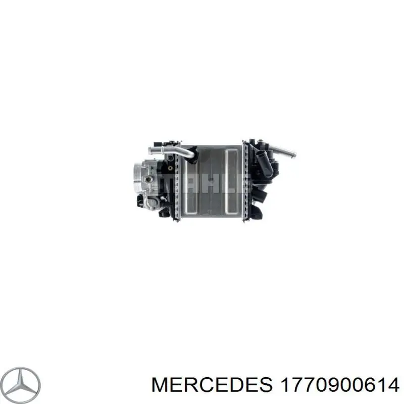 1770900614 Mercedes