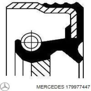 Retén del cigüeñal Mercedes 179977447 precio, desde 14,43 EUR