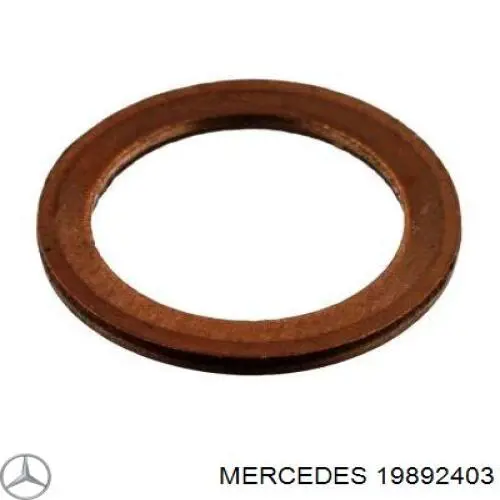 19892403 Mercedes Aceite de la dirección asistida