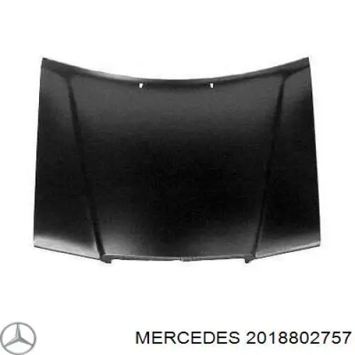 2018802757 Mercedes Capó delantero