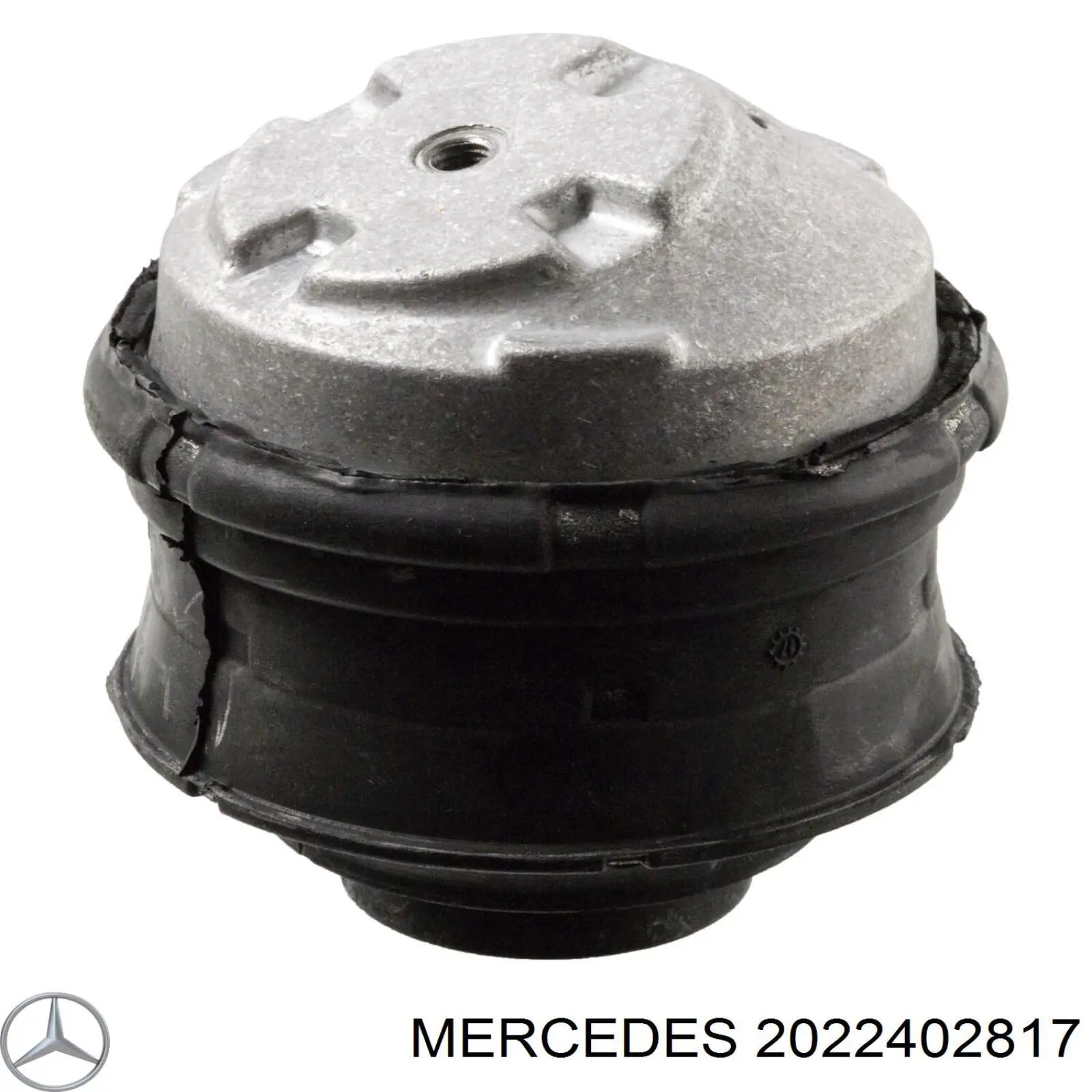 2022402817 Mercedes soporte de motor, izquierda / derecha