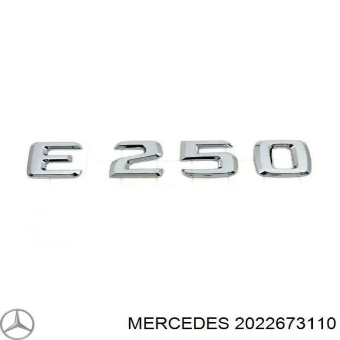 2022673110 Mercedes