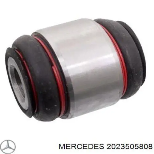 2023505808 Mercedes