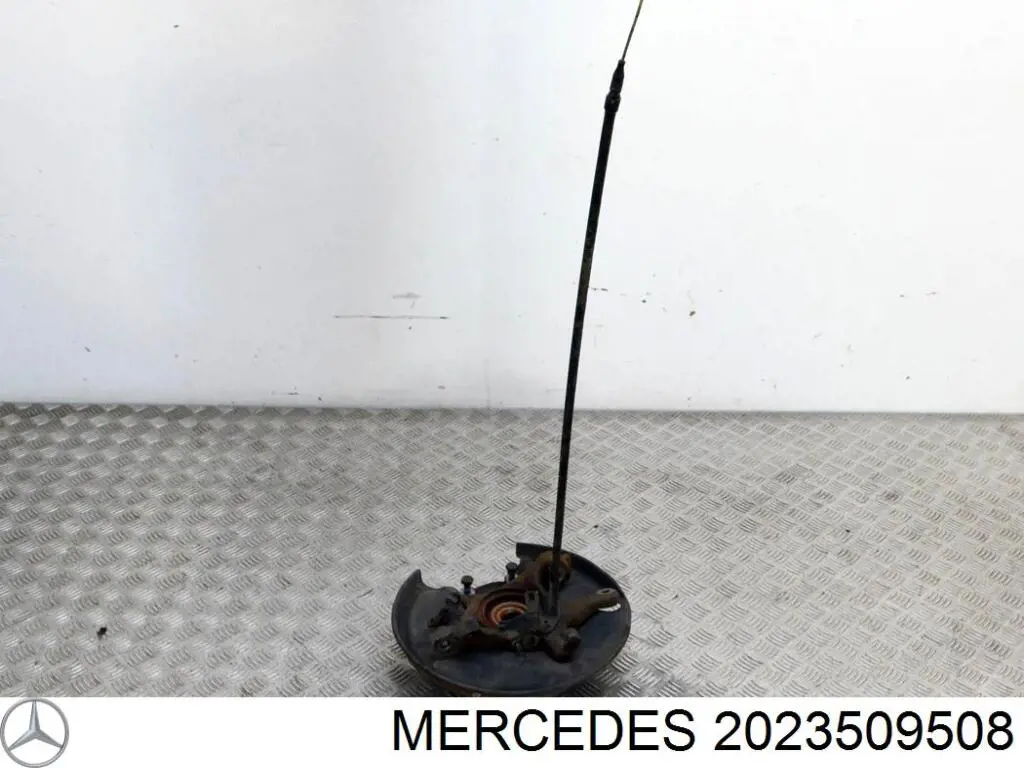 Mangueta trasera derecha Mercedes 2023509508 precio, desde 110,35 EUR