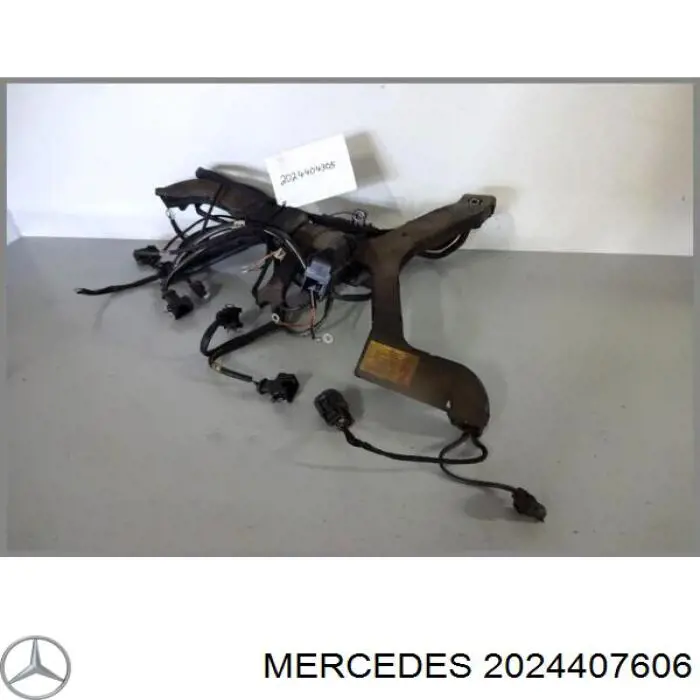 A2024407606 Mercedes