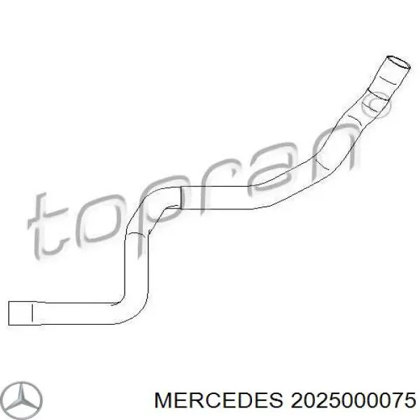 2025000075 Mercedes tubería de radiador, tuberia flexible calefacción, inferior