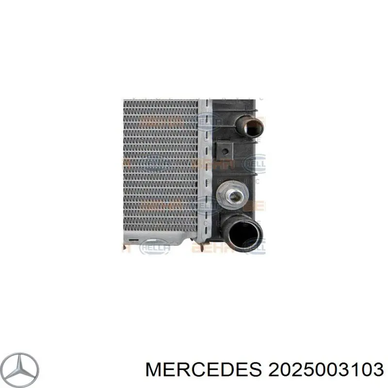 Água radiador Mercedes 2025003103 precio, desde 117,61 EUR