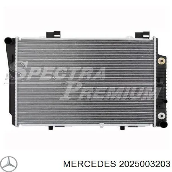 2025003203 Mercedes radiador