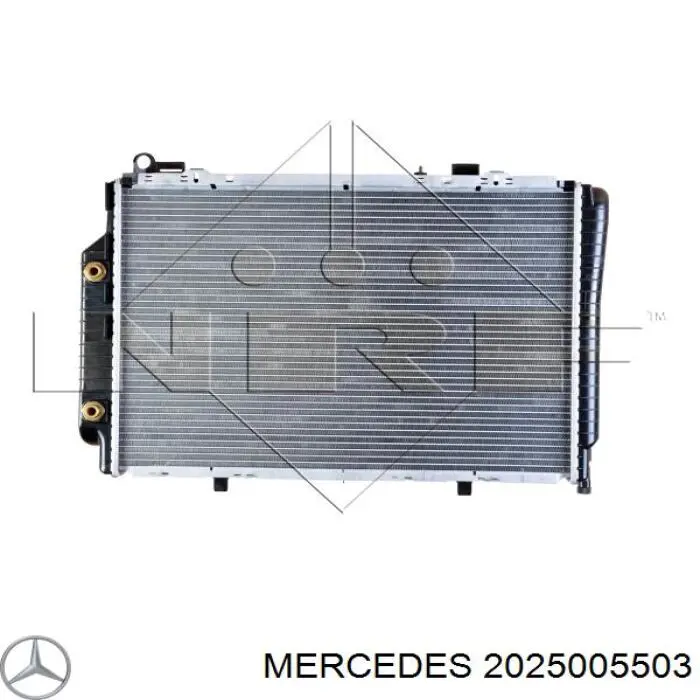 2025005503 Mercedes radiador refrigeración del motor