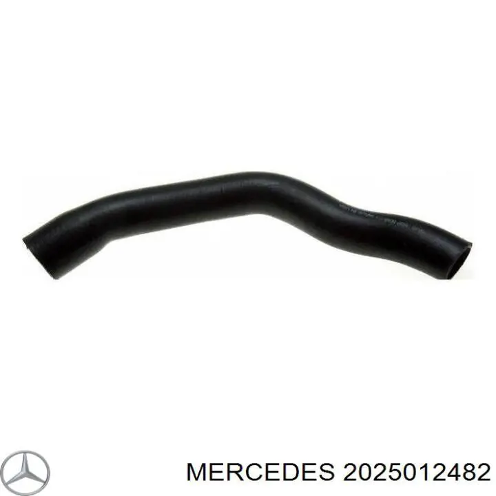 2025012482 Mercedes tubería de radiador arriba