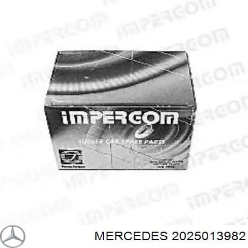 2025013982 Mercedes tubería de radiador arriba