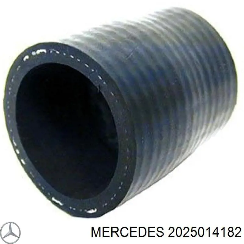 2025014182 Mercedes