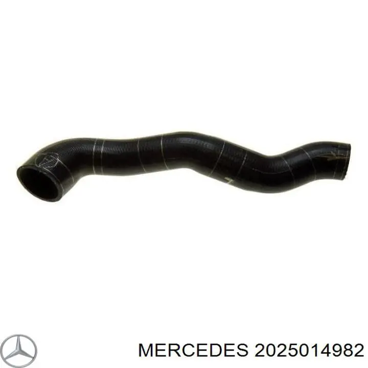 2025014982 Mercedes tubería de radiador arriba