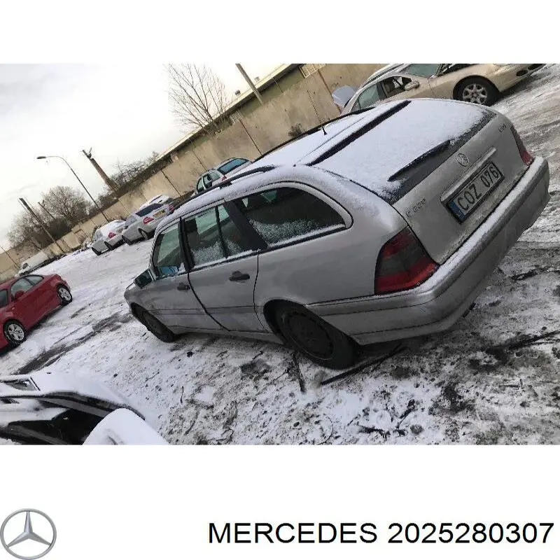 Comprar A2025280307 Mercedes Tubo flexible de aspiración
