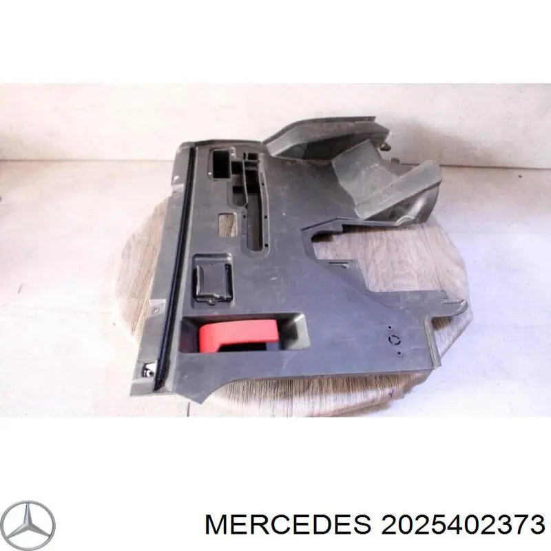 Comprar 2025402373 Mercedes Tapa del conector de diagnóstico