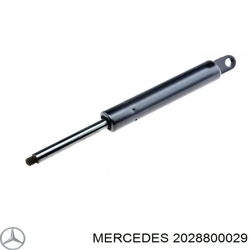 Muelle neumático, tapa delantera Mercedes 2028800029 precio, desde 11,91 EUR