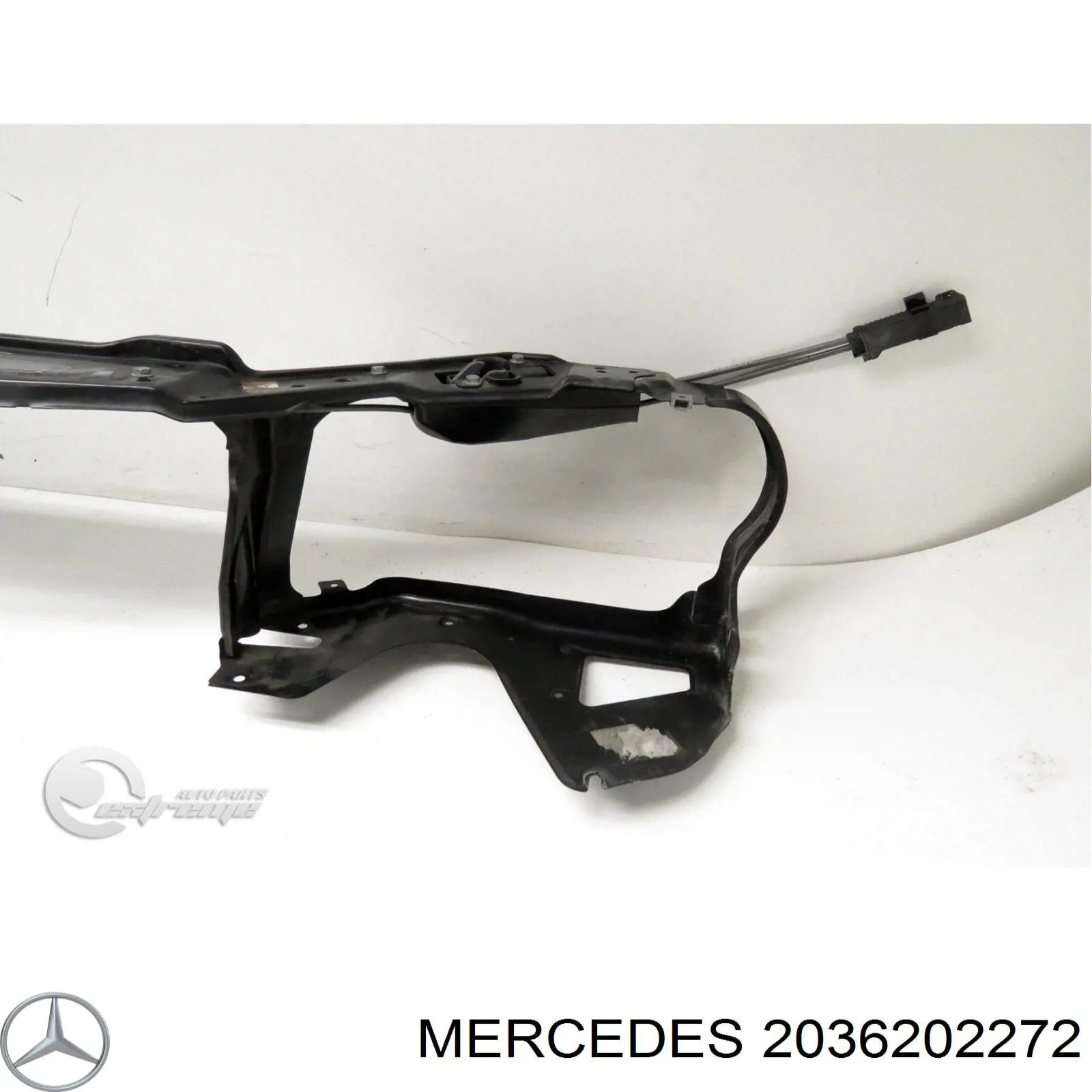 2036202272 Mercedes