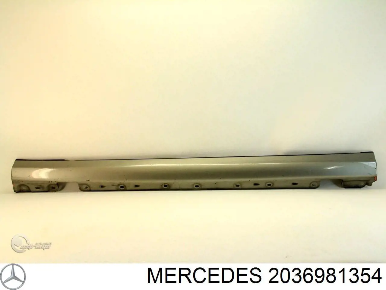 2036981354 Mercedes listón de acceso exterior izquierdo