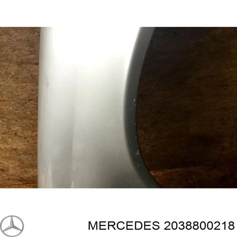 203880021867 Mercedes Aleta delantera