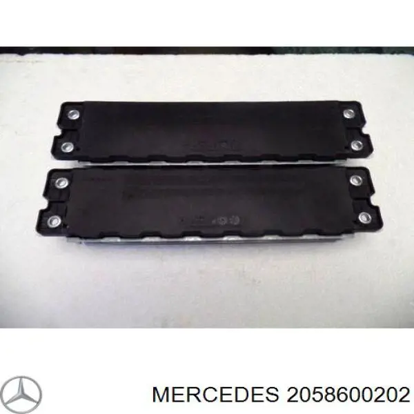 2058600202 Mercedes