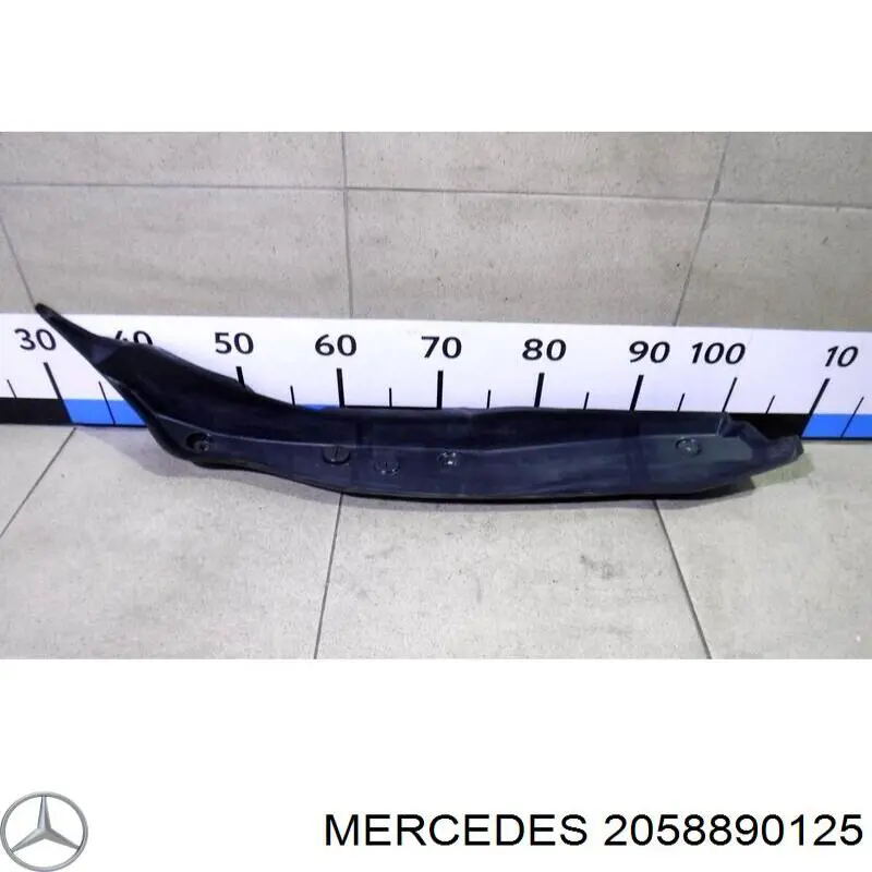 2058890125 Mercedes