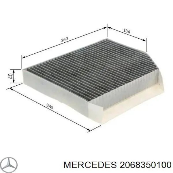 424I0423 Ridex Filtro antipolen