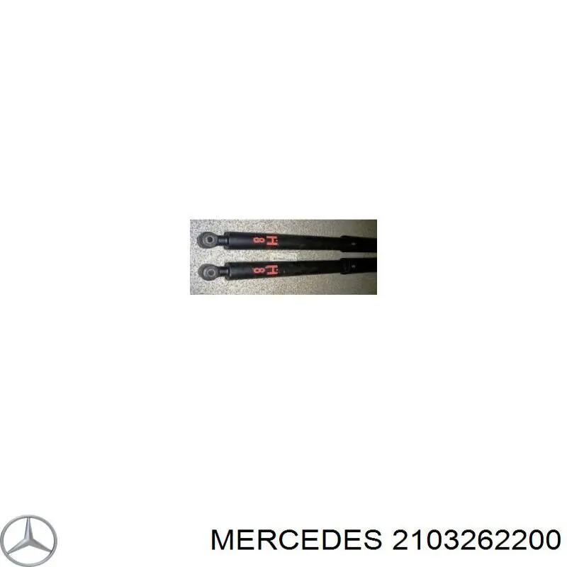 Amortiguador trasero Mercedes 2103262200 precio, desde 34,74 EUR
