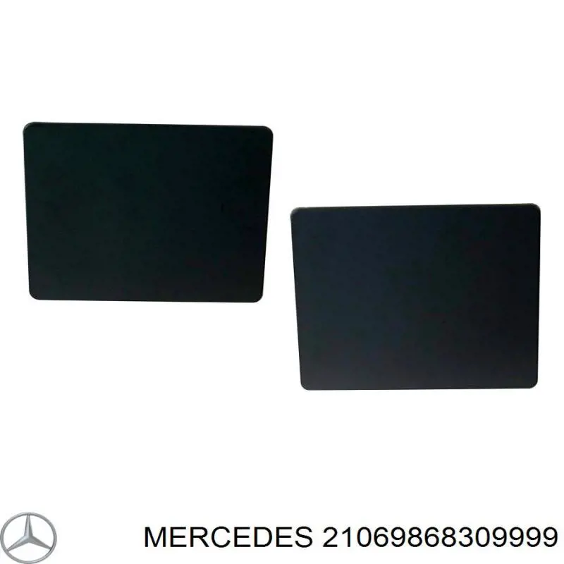21069868309999 Mercedes grapa