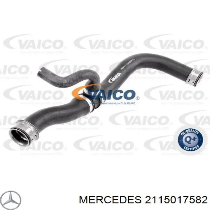 2115017582 Mercedes manguera refrigerante para radiador inferiora