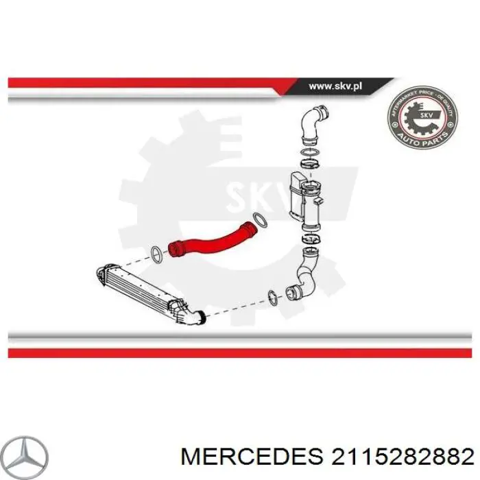 2115282882 Mercedes tubo flexible de aire de sobrealimentación inferior derecho