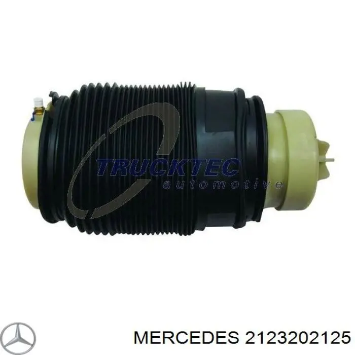 2123202125 Mercedes muelle neumático, suspensión, eje trasero