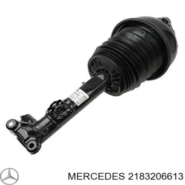 2183206613 Mercedes