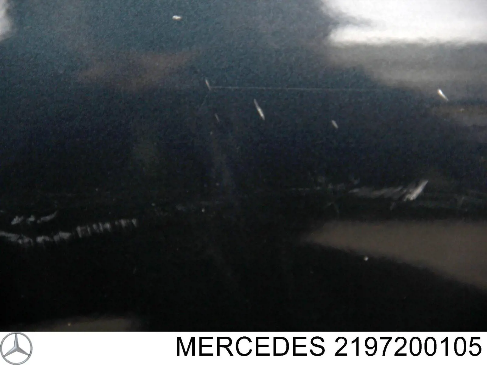 Puerta delantera para Mercedes CLS  C219