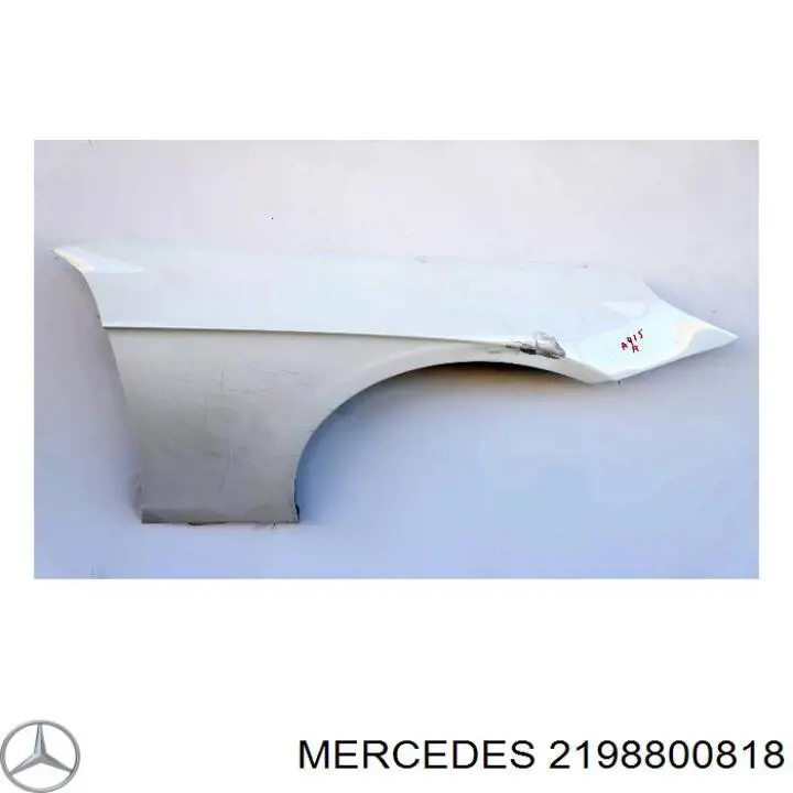 2198800818 Mercedes guardabarros delantero derecho