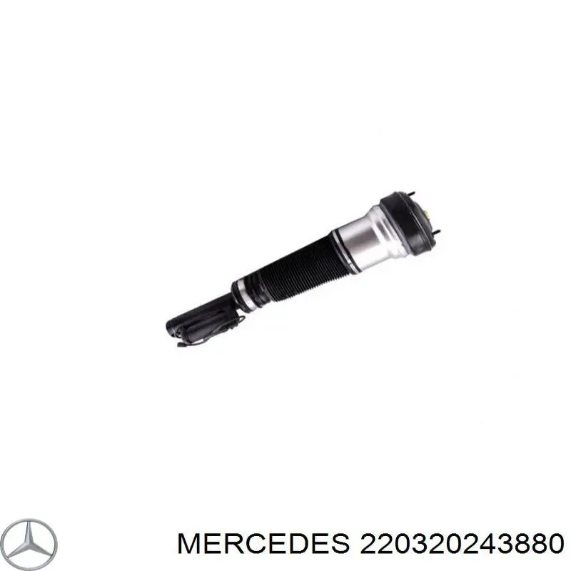 220320243880 Mercedes amortiguador delantero