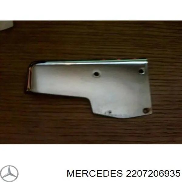 Cierre de la puerta delantera izquierda para Mercedes S (W220)