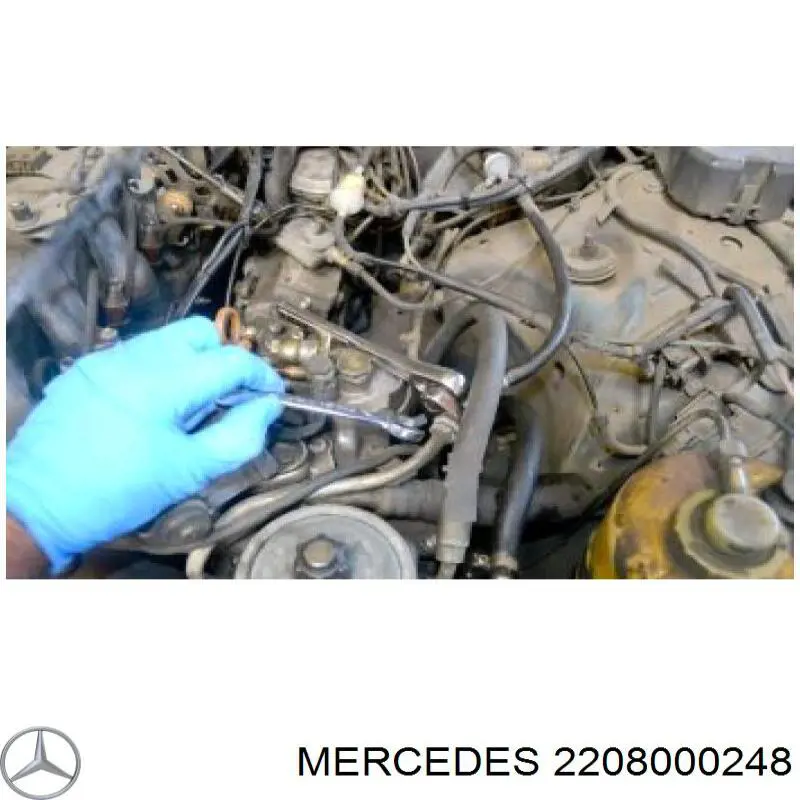 2208000248 Mercedes