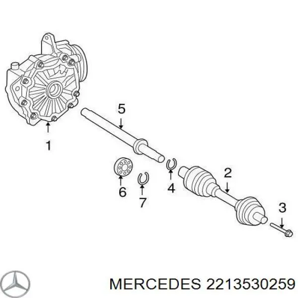 2213530259 Mercedes