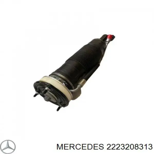 2223208313 Mercedes