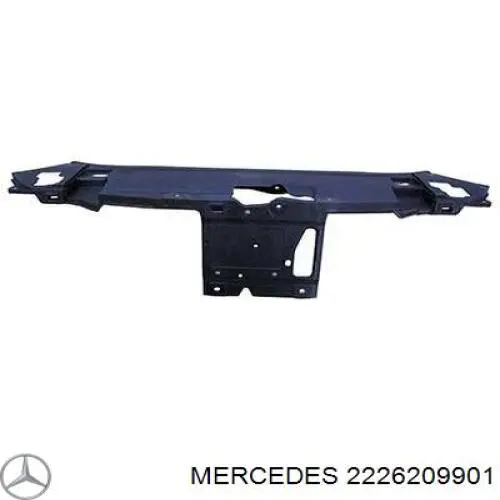 2226209901 Mercedes