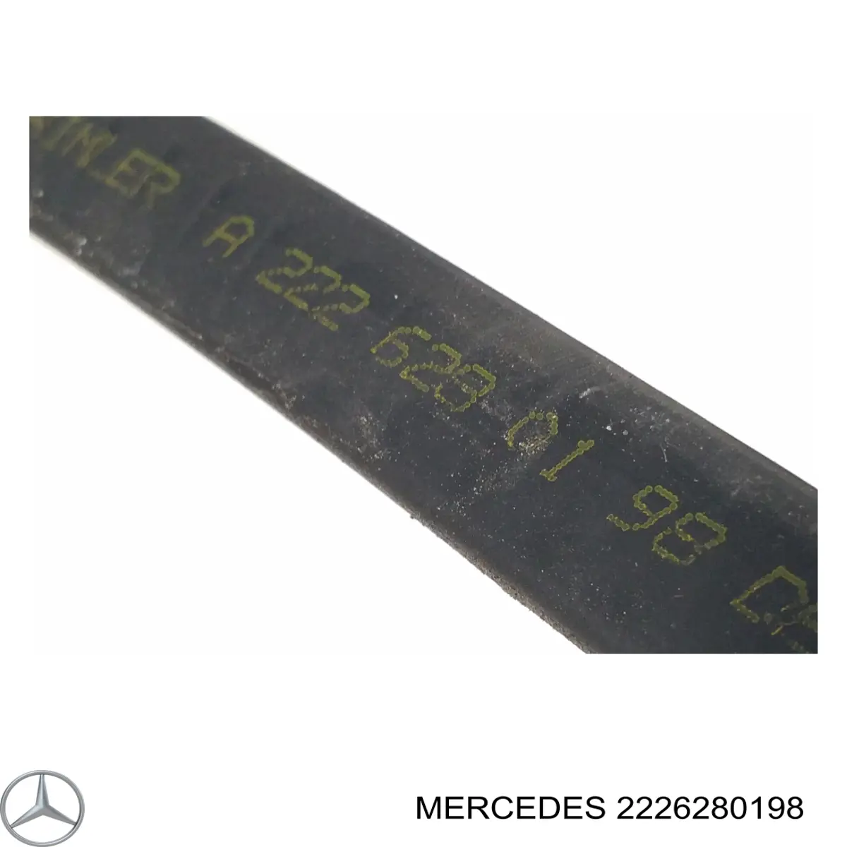 2226280198 Mercedes