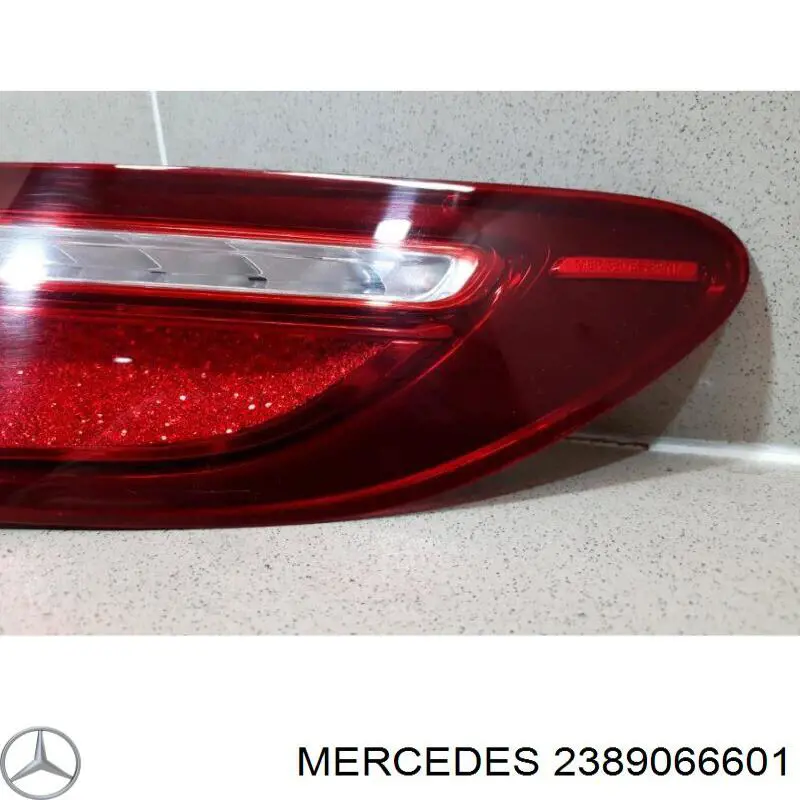 2389066601 Mercedes