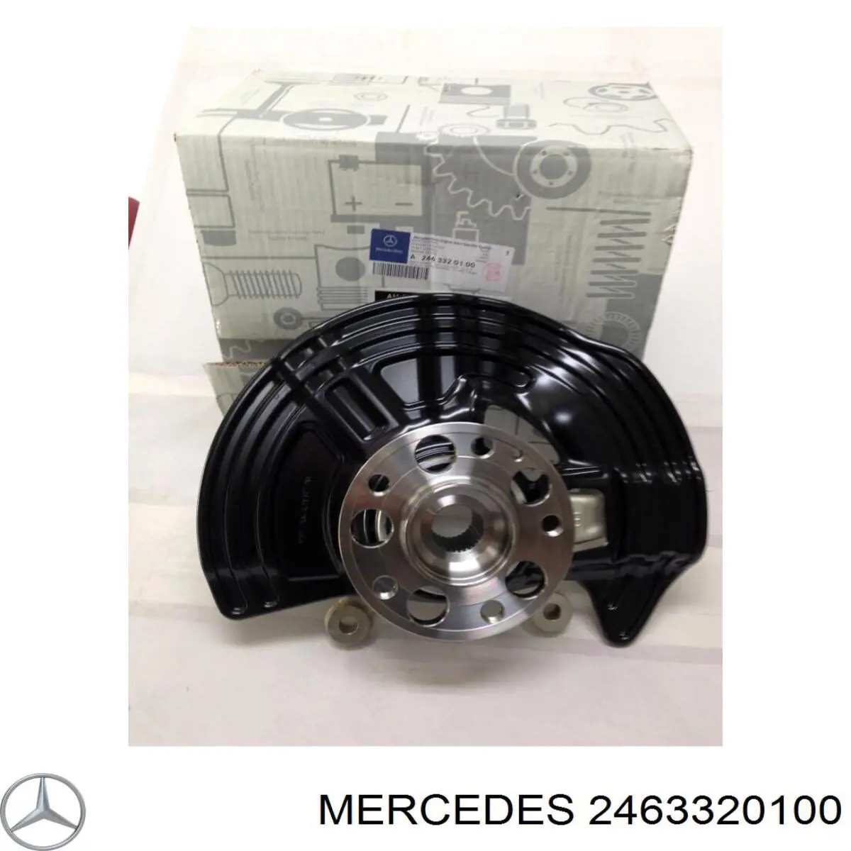 2463320100 Mercedes